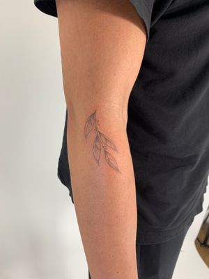 Illustrative sprig tattoo by Chloe Hartland, featuring delicate vine design.