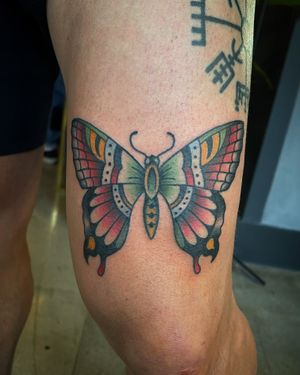 Butterfly #traditional #colortattoo #traditionaltattoo #armtattoo #butterflytattoo #thightattoo #butterfly