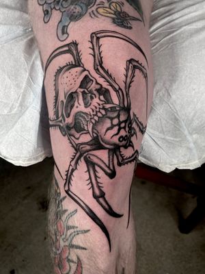 Black and grey Traditional Spider skull tattoo by Nate Fierro @natefierro #traditional #traditionaltattoo #spidertattoo #skulltattoo #kneetattoo #blackandgrey #blackandgreytattoo