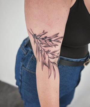 Check out this stunning illustrative tattoo of an olive branch by the talented artist Paula, perfect for nature lovers!