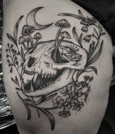 Plants and a cat skull