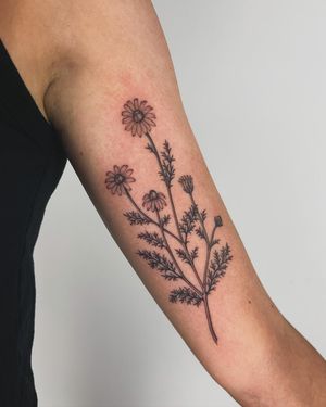 Get an elegant illustrative tattoo of a blooming flower, sprig, and branch by the talented artist Paula.