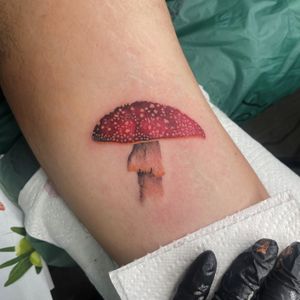 Realistic mushroom