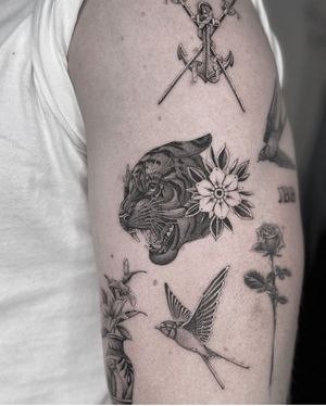 Illustrative tattoo featuring a majestic tiger, elegant flower, and intricate tudor rose by HellHabits.