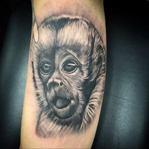 Get a stunning black and gray monkey tattoo with incredible depth and detail from the talented artists at Simon Says Ink.