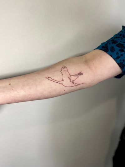 Swan single line illustrative tattoo