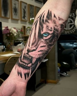 • Tiger • realistic piece, first piece of the full sleeve project by our resident @cat_vas_tattoo 
Books/info in our Bio: @southgatetattoo 
•
•
•
#tiger #tigertattoo #realsitictattoo #amazingink #londontattoostudio #southgateink #southgate #southgatepiercing #londonink #london #northlondon #sgtattoo #enfield #northlondontattoo #londontattoo #southgatetattoo 