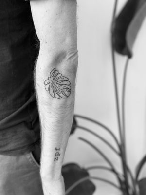 Fine line illustrative tattoo by Timmy featuring a dainty and delicate monstera plant motif.