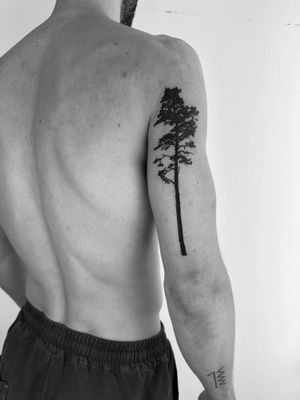 Blackwork tree tattoo by Timmy, showcasing intricate roots and branches in a bold and striking style.
