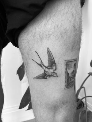 Get an elegant black and gray illustrative swallow bird tattoo by the talented artist Timmy. Embrace the beauty of nature with this timeless design.