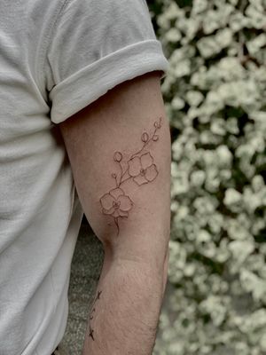 Fine line illustrative tattoo of a dainty flower vine design by Katerina Nireta. Intricate and elegant.