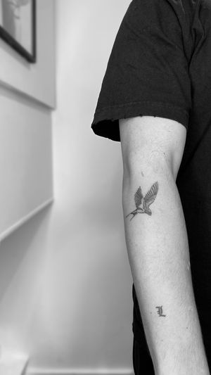 Beautiful black and gray illustrative swallow bird tattoo by the talented artist Rollo. Elegant and timeless design.