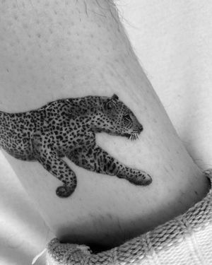 Experience the wild elegance with this black and gray tattoo of a leopard or cheetah, expertly crafted by Rollo. Perfect for those who love micro realism.