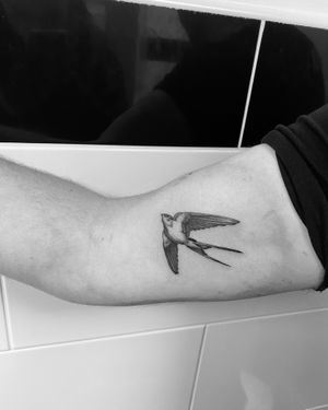 Experience the timeless beauty of a black and gray illustrative swallow bird tattoo expertly crafted by the talented artist Rollo.