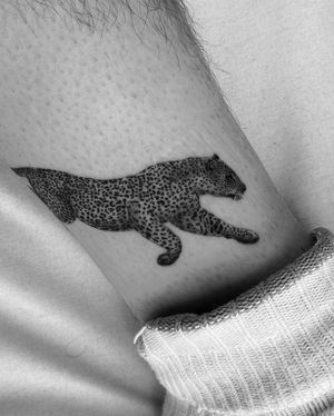 Experience the wild with this stunning black and gray micro realism tattoo of a leopard and cheetah, expertly done by Rollo.
