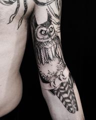Freehand owl