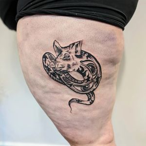 Unique blackwork tattoo featuring a snake and a hog intertwined, expertly executed by talented artist Adam McDade.