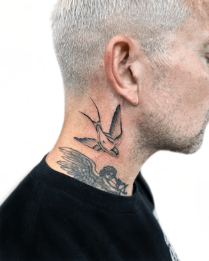 Traditional and illustrative black and gray tattoo of a swallow bird by Alex Lloyd.