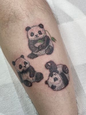 panda’s