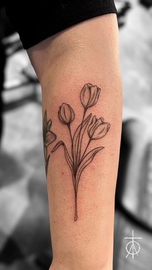 Fine Line Tulips Tattoo Done By Claudia Fedorovici in Amsterdam #finelinetattoo #floraltattoo #finelinetattooartist #claudiafedorovici #ascetictattoo #tempesttattooamsterdam #tattooartistsamsterdam 