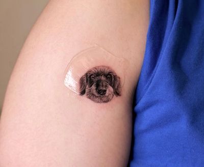 Black and gray fine line tattoo of a realistic dog portrait. A family received a tattoo of their beloved dog's face from the amazing artist Doo. Dog tattoo, dog face, family tattoo, matching tattoo, pet portrait, pet tattoo, realism, micro realism