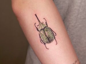 Beetle tattoo