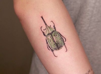 Beetle tattoo, realism, realistic, micro realism, micro realistic, color tattoo, color realistic, hyperrealism, insect, but, forearm, arm, nature