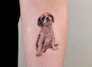 Get a stunning black and gray tattoo of your beloved pet that looks so realistic, you'll have to do a double take. Done by the talented artist Doo.