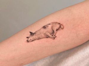 Pet tattoo