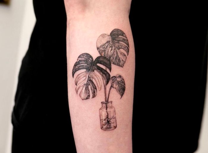 Monstera Plant  Tattoodo