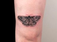 A night butterfly by Doo. Moth, moth tattoo, night butterfly, bug, insect, fly, pet tattoo, pet portrait, realism, realistic, micro realistic, micro realism, upper arm