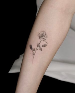 Black and grey single rose