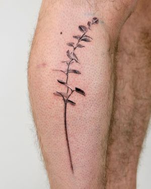 Abstract eucalyptus tattoo