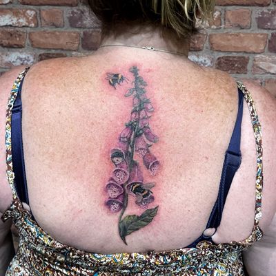 Full colour realism foxgloves and bumblebees