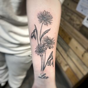 Black and grey realistic little daisies and snowdrops
