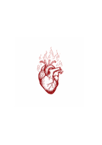 Flaming Anatomical Heart