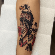 Eagle on Branch