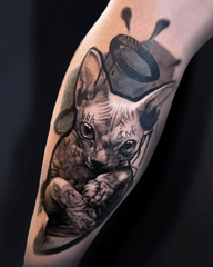 Sphynx Cat