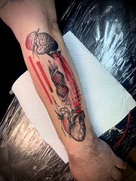 Anatomical Science Sleeve