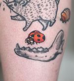Ladybug and Bone