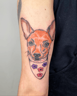 Chihuahua with Floral Bandana