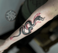🐍 Cool Lil Sssssnake I got to do the other day! Thanks for the trust! . #sphynxtattoodublin #snaketattoo #snaketattoos #blackandred #blackandredtattoo #tattooideas #dublintattoo #tattoodublin #dublinireland