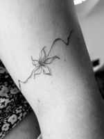Minimalist Floral Line Art
