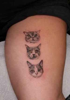 Experience Maria's stunning micro realism technique in this intricate cat portrait tattoo, a perfect tribute to your beloved pet.