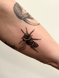 Realistic Bee