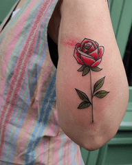 Traditional Red Rose