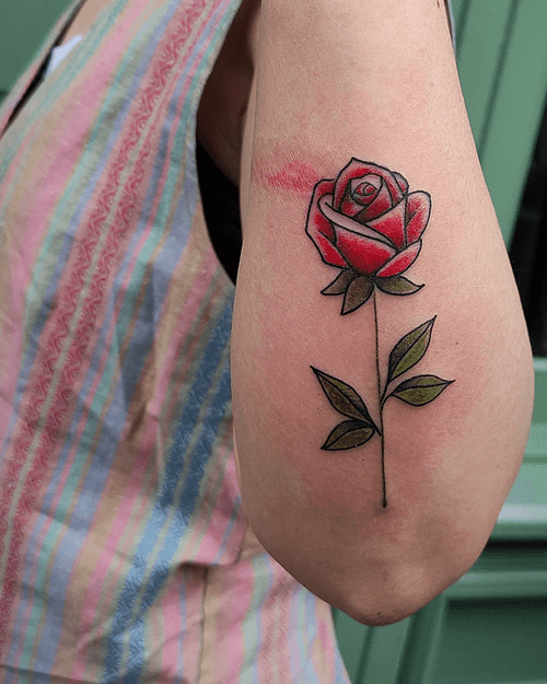 Traditional Red Rose