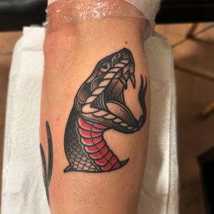 Get a bold and classic traditional snake tattoo by the talented artist Lawrence Canham, featuring intricate line work and vibrant colors.