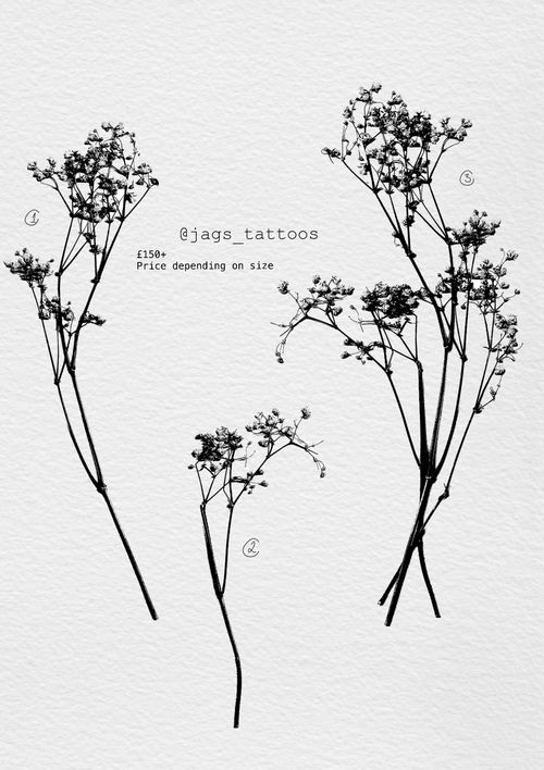 Scanned botanicals (1)