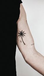 Palm Tree Tattoo